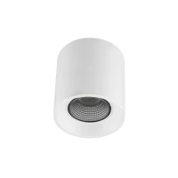 DK3090-WH+CH Светильник накладной IP 20, 10 Вт, GU5.3, LED, белый/хром, пластик