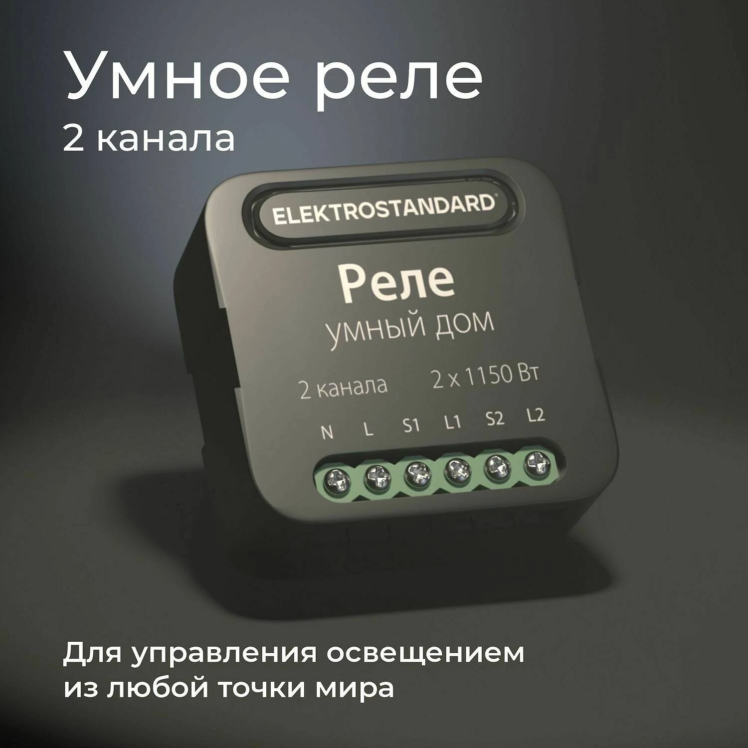 Умное двухканальное реле 76007/00 (Elektrostandard, a059326) - Amppa.ru